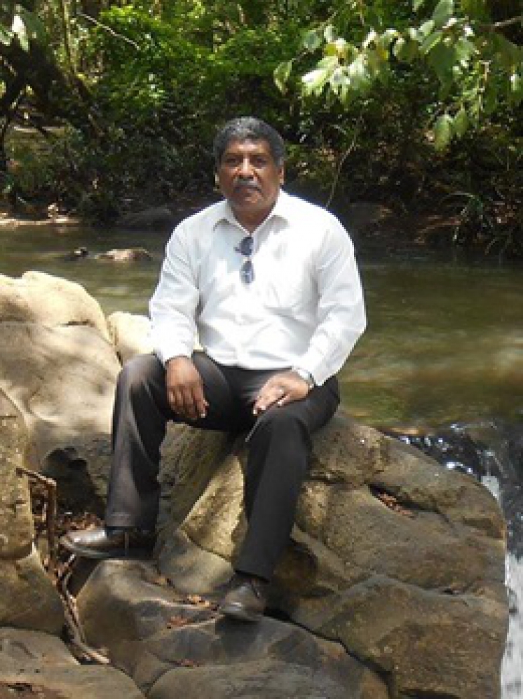 Mtro. Roberto Palomares Gonzalez